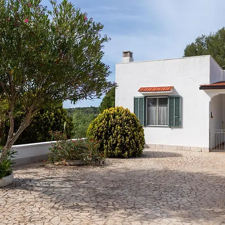 Amabile Panoramic House